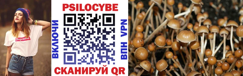 Псилоцибиновые грибы Psilocybine cubensis Нахабино